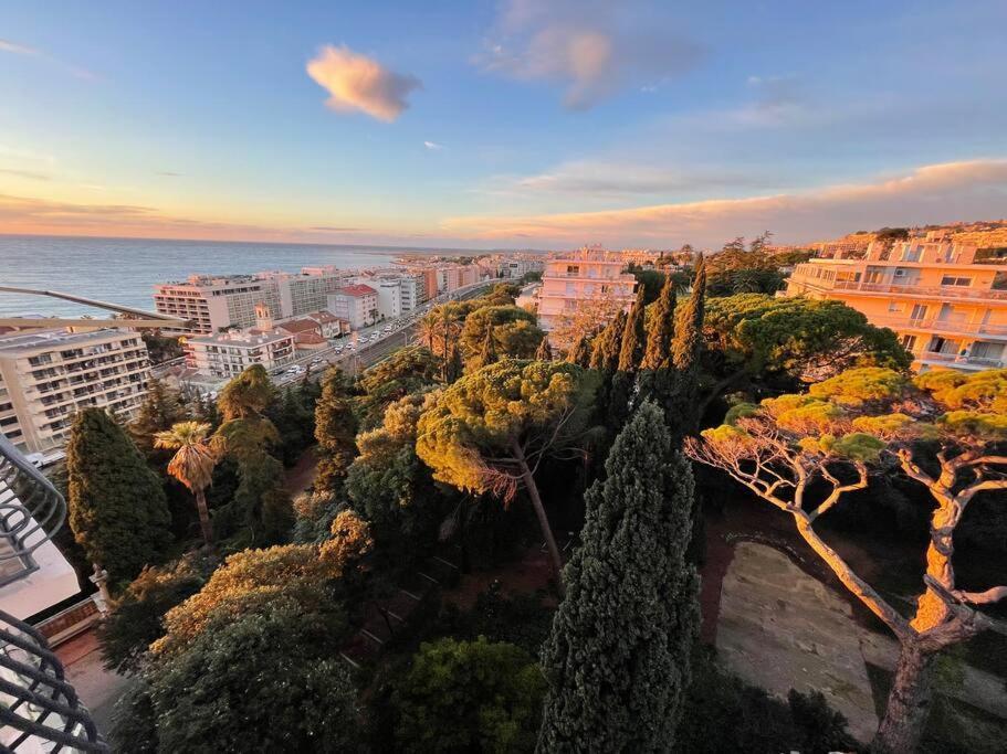 Leilighet Les Grands Cedres 2 Pieces Vue Nice