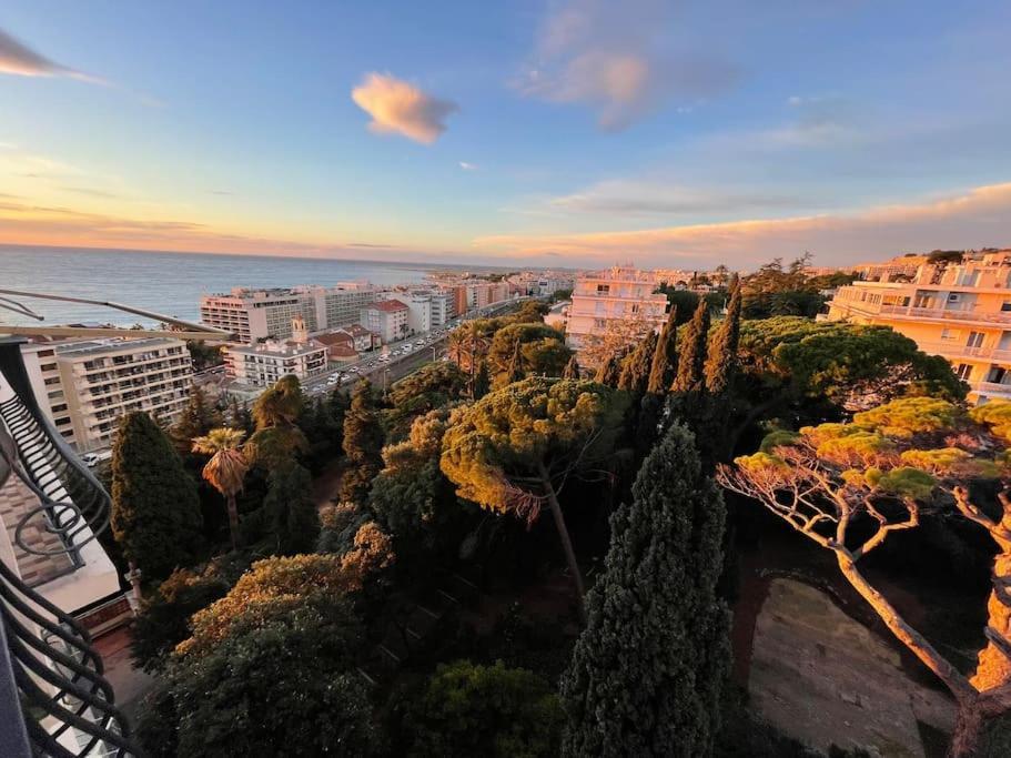 Les Grands Cedres 2 Pieces Vue Leilighet Nice